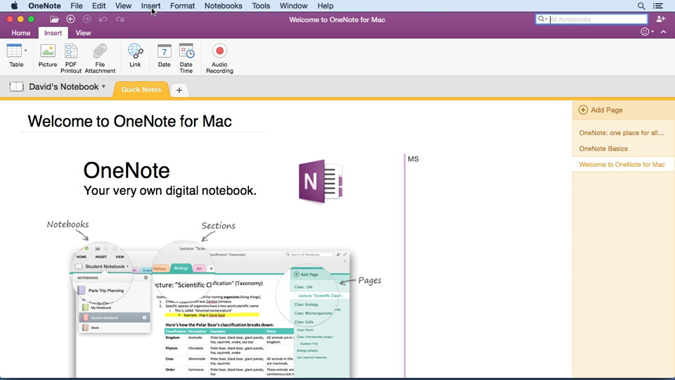 shortcuts for bullets in onenote mac